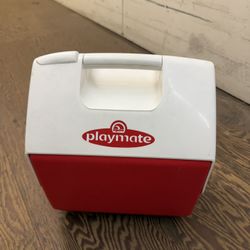 Small Playmate Cooler