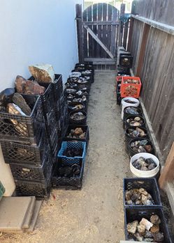 Lifetime Lapidary Rock Collection – 50 Buckets & Crates – Must Go!