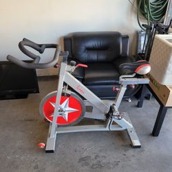 Sunny Exercise Bike