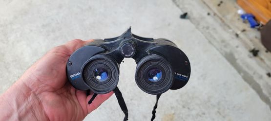 Bushnell Sportview 10×50 Binoculars