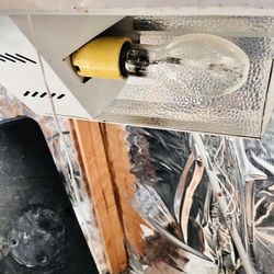 Grow Light 