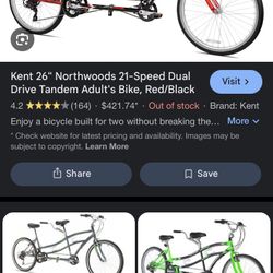 adult Bike 
