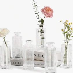 Textured Single Stem bud vases 60 Qty
