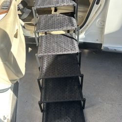 Dog Stairs