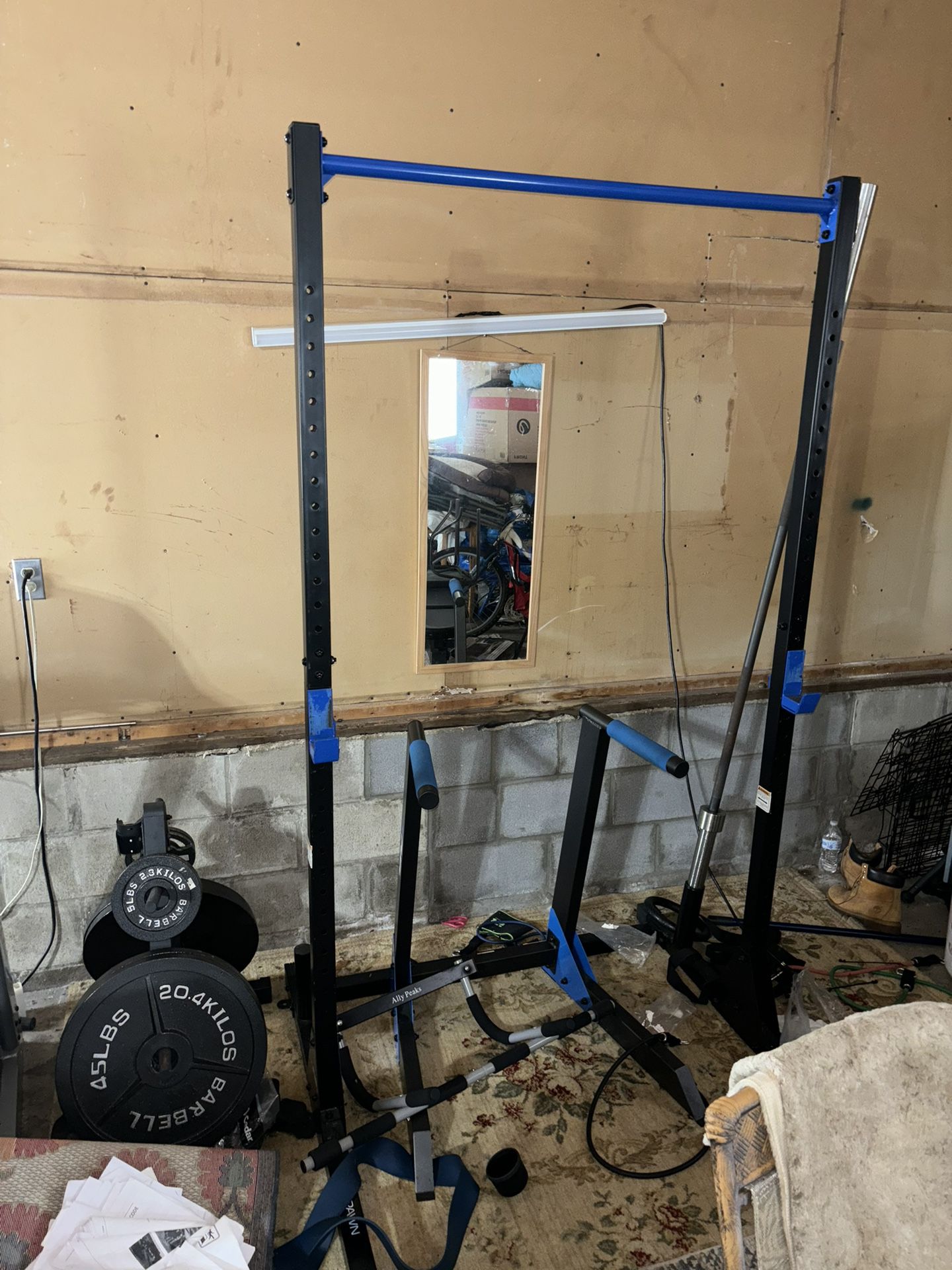 Pull Up Bar With Weights And Bench 