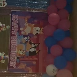 Balloon Arcs / Celebration Decor 