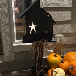 Lighted Bird House