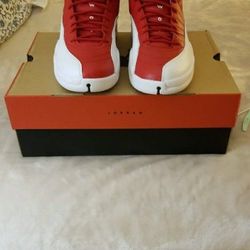Jordan 12