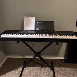 Williams Allegro III Piano Keyboard