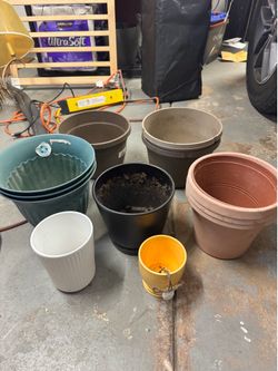 13 plant vases