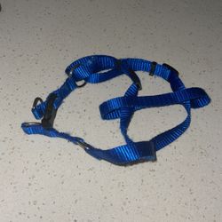 Mediu Dog Collar