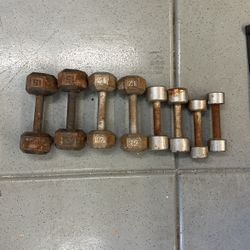 Dumbbells Free Weights, 5,  8, 12, And 15 Pounds