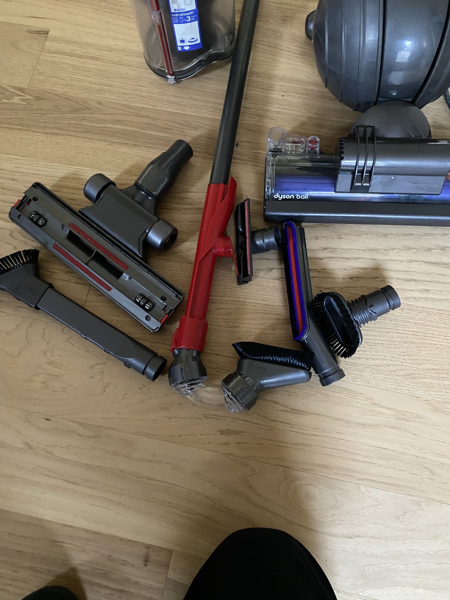 Dyson Ball Animal