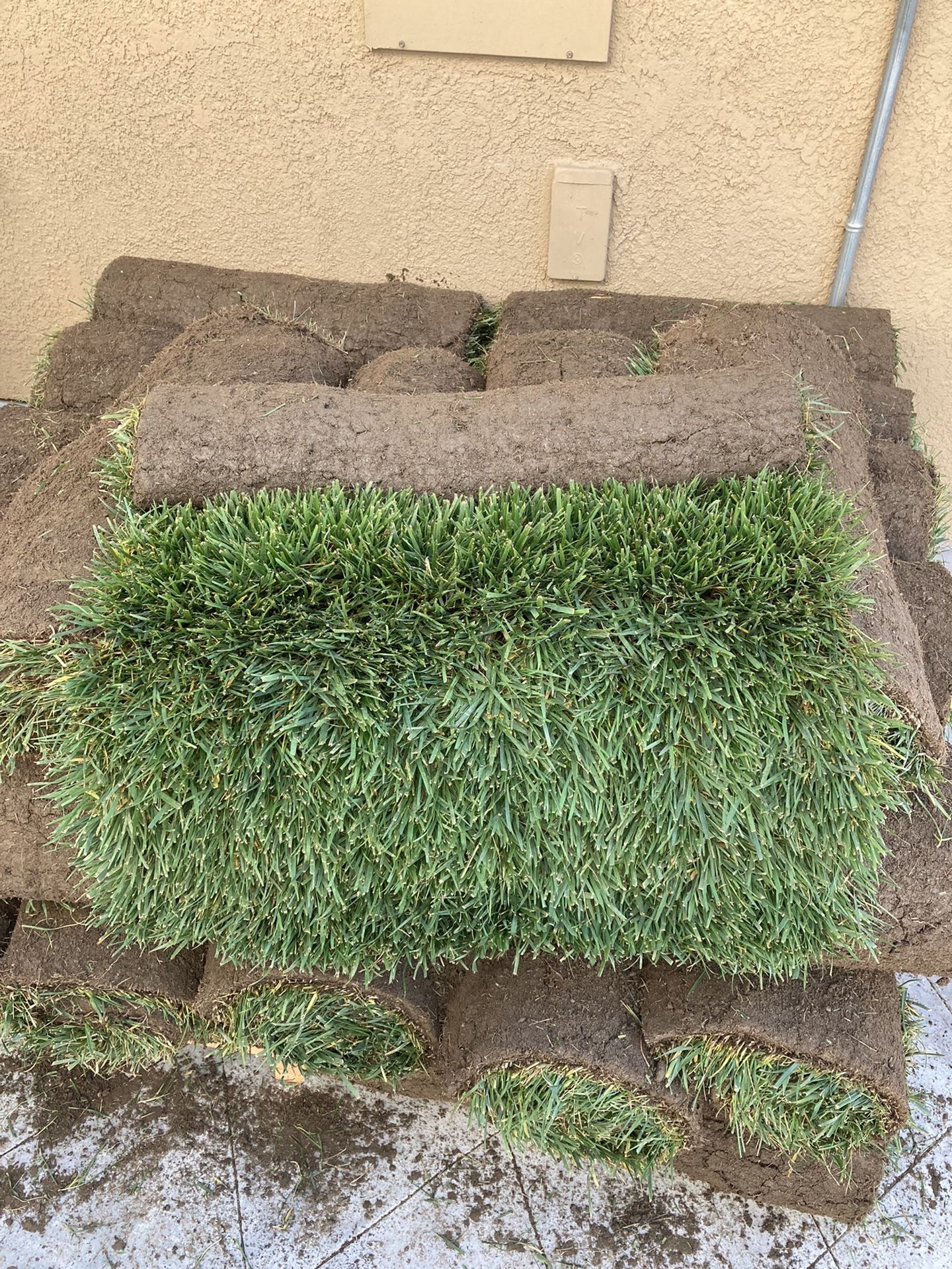 Fresh Sod