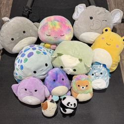 Squishmellow bundle