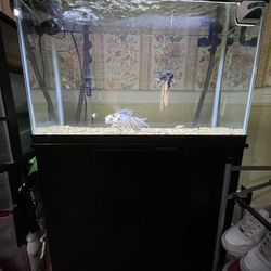 29 Gallon Fish Tank!