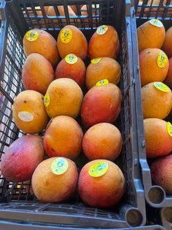 Mangos Hayden $10 Box only today