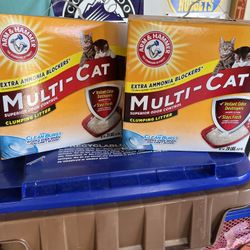 Cat Litter