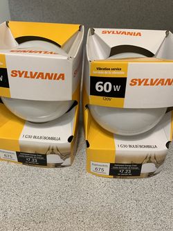 Sylvani’s 60W Large Bulbs