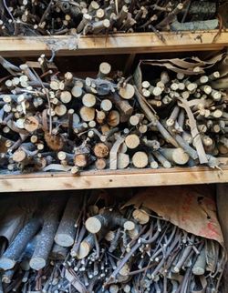 Seasoned Fruit Wood for BBQ, Smoking (Apple, Fig, Pear) x3 Bags