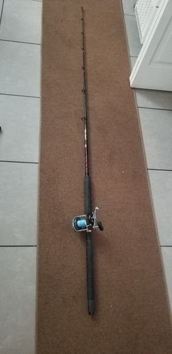 Fishing rod And Reel