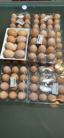 Fresh Eggs