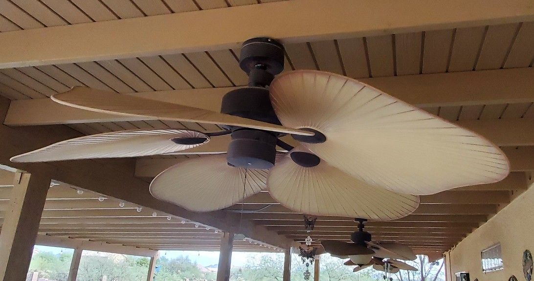 Leaf Blade Ceiling Fans (3)
