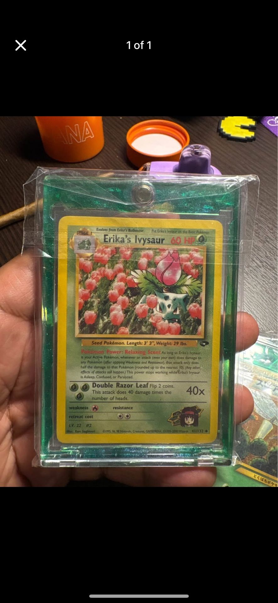 Erika’s Ivysaur