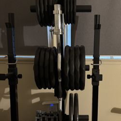 Weights Including  Stands Curl Bar And Two Bench Rack Stands 