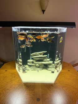 95 Gallon Acrylic Fish Tank/Aquarium- $250
