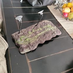 Zoo Med Floating Turtle Shelf