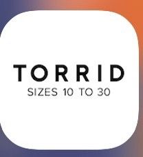 Three bags of mostly Torrid clothing 3-4 XL