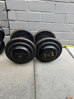 Troy Dumbells