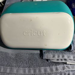 Cricuit Joy