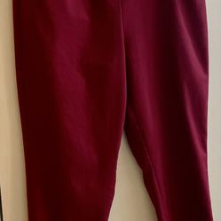 Women’s ankle pants sz 14. Boxelder dr. 92563