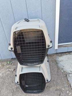 Trouble cages for dogs
