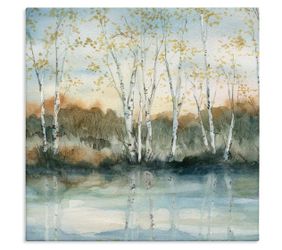 “Quaint Birch Tree Reflections” framed canvas wall art
