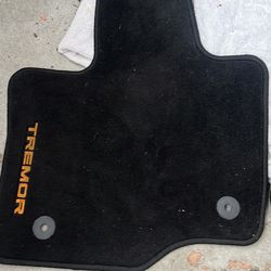 Ford F150 Floor Mats 