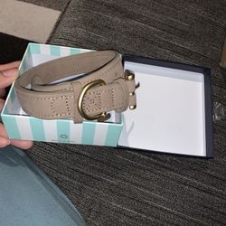 New Blueberry Pet Collar 