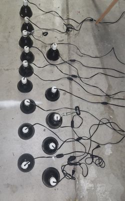 Reptile Light Fixtures