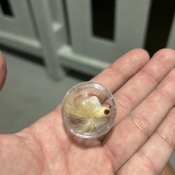 Handmade Popper Fly fishing Bait