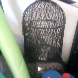 Antique Castiron Birdcage