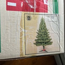 6 Foot 