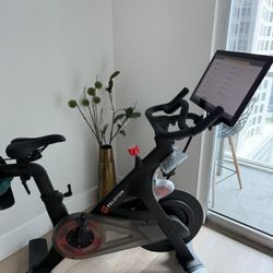 Peloton Bike Indoor 