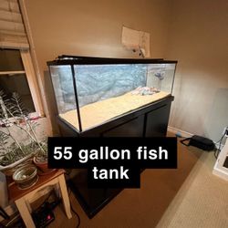 55 Gallon Fish Tank (everything included)