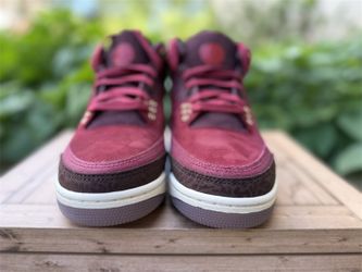 Air Jordan 3 Retro 'Bin23'