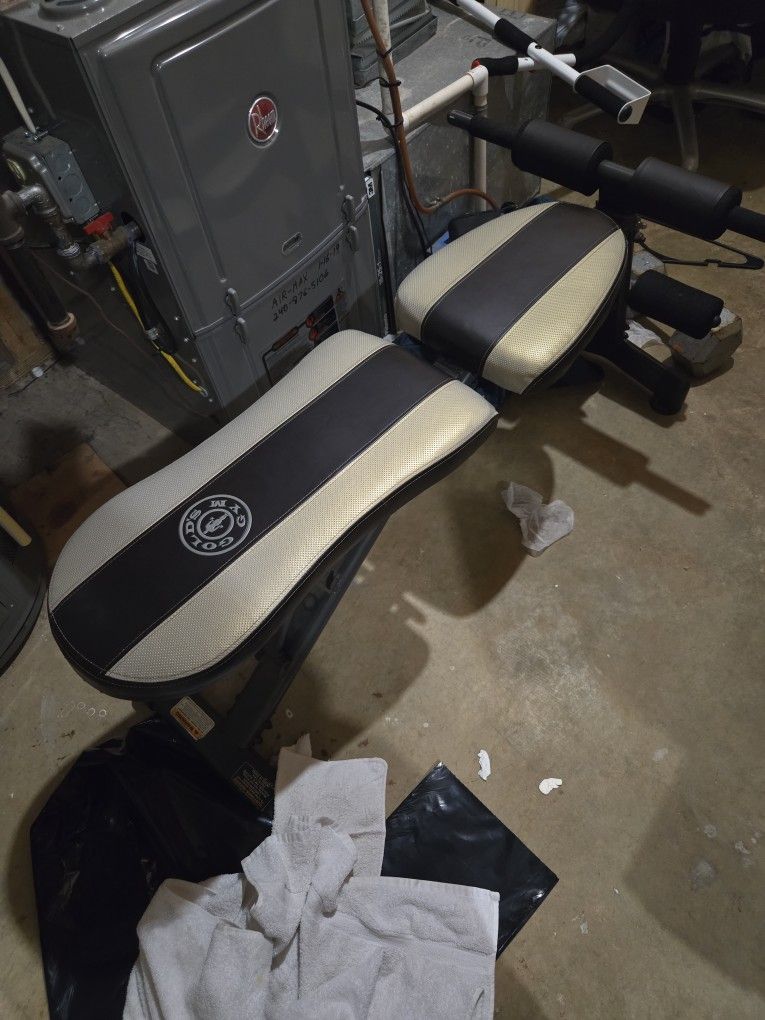 Golds Gym Workout Bench Free