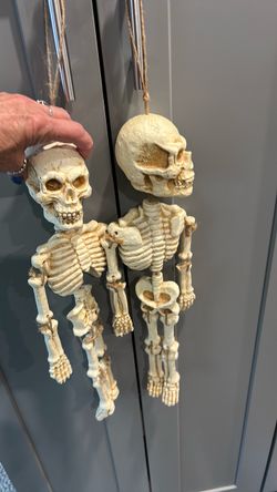 Two heavyweight skeletons