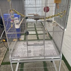 Parrot Cage 