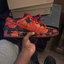 Nike Sb Dunks Low Pro Woo Qs